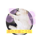 いつでもそばにいるよ❤️maruco0901（個別スタンプ：29）