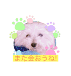 いつでもそばにいるよ❤️maruco0901（個別スタンプ：32）