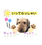 ウェルシュテリア ♡ ジェリーさんの1日⑤（個別スタンプ：2）