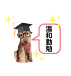 ウェルシュテリア ♡ ジェリーさんの1日⑤（個別スタンプ：4）