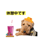 ウェルシュテリア ♡ ジェリーさんの1日⑤（個別スタンプ：5）