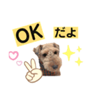 ウェルシュテリア ♡ ジェリーさんの1日⑤（個別スタンプ：6）