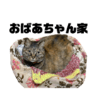 ☆ねこのちゃあスタンプ☆Part 2（個別スタンプ：9）