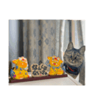 ☆ねこのちゃあスタンプ☆Part 2（個別スタンプ：26）