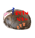 リスのリチャくん①（個別スタンプ：2）