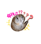 リスのリチャくん①（個別スタンプ：22）