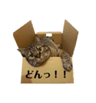 くー太郎第4弾！2021（個別スタンプ：2）