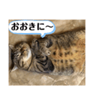 くー太郎第4弾！2021（個別スタンプ：6）