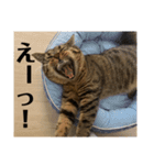 くー太郎第4弾！2021（個別スタンプ：9）