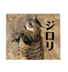 くー太郎第4弾！2021（個別スタンプ：12）