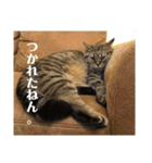 くー太郎第4弾！2021（個別スタンプ：14）