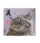くー太郎第4弾！2021（個別スタンプ：15）