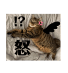 くー太郎第4弾！2021（個別スタンプ：16）