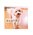 ポノちゃんスタンプその11（個別スタンプ：4）