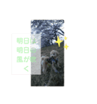 ポノちゃんスタンプその11（個別スタンプ：6）