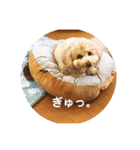 ポノちゃんスタンプその11（個別スタンプ：7）