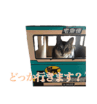 ＊愉快な猫たち2＊（個別スタンプ：24）