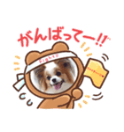 パピヨン クララ＆レイナ4（個別スタンプ：6）