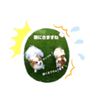 パピヨン クララ＆レイナ6（個別スタンプ：6）