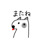 パピヨン クララ＆レイナ6（個別スタンプ：23）