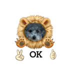 わんこレオン（個別スタンプ：3）