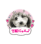 わんこレオン（個別スタンプ：11）