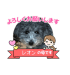 わんこレオン（個別スタンプ：14）