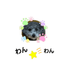 わんこレオン（個別スタンプ：15）