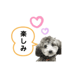 わんこレオン（個別スタンプ：23）