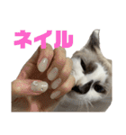 にぼしくん2（個別スタンプ：9）