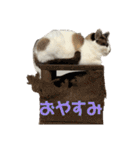 にぼしくん2（個別スタンプ：18）