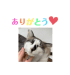 にぼしくん2（個別スタンプ：23）