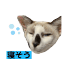 にぼしくん2（個別スタンプ：27）