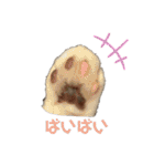 にぼしくん2（個別スタンプ：28）