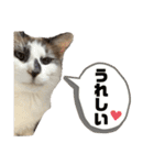 にぼしくん2（個別スタンプ：38）