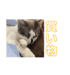 にぼしくん2（個別スタンプ：39）
