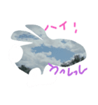 雲ニヤ！スタンプ（個別スタンプ：6）