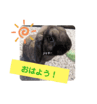 Pちゃんstamps（個別スタンプ：3）