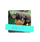 Pちゃんstamps（個別スタンプ：7）