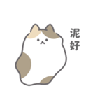 QQねこ（個別スタンプ：1）