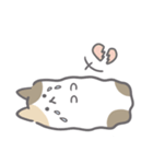 QQねこ（個別スタンプ：7）
