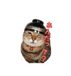 うちにゃんずの日常（個別スタンプ：6）