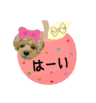 ペニ子☆日常語⑨（個別スタンプ：14）