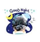 増！ 黒プードル犬 可愛いいスタンプ！（個別スタンプ：2）
