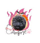 増！ 黒プードル犬 可愛いいスタンプ！（個別スタンプ：6）