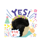 増！ 黒プードル犬 可愛いいスタンプ！（個別スタンプ：15）