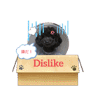 増！ 黒プードル犬 可愛いいスタンプ！（個別スタンプ：16）