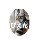 らんみみりお。動物スタンプ（個別スタンプ：11）