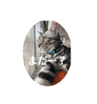 らんみみりお。動物スタンプ（個別スタンプ：19）