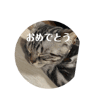 らんみみりお。動物スタンプ（個別スタンプ：27）